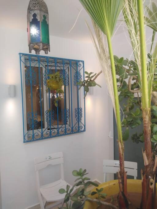 Cosy Appartement In "Sidi Bou Said" Exterior foto